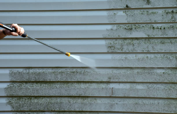 Mold Testing and Removal in Wallace, NC