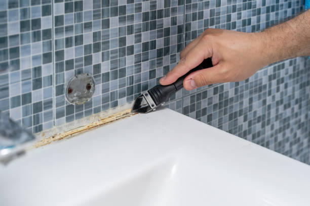Best Mold Damage Repair  in Wallace, NC